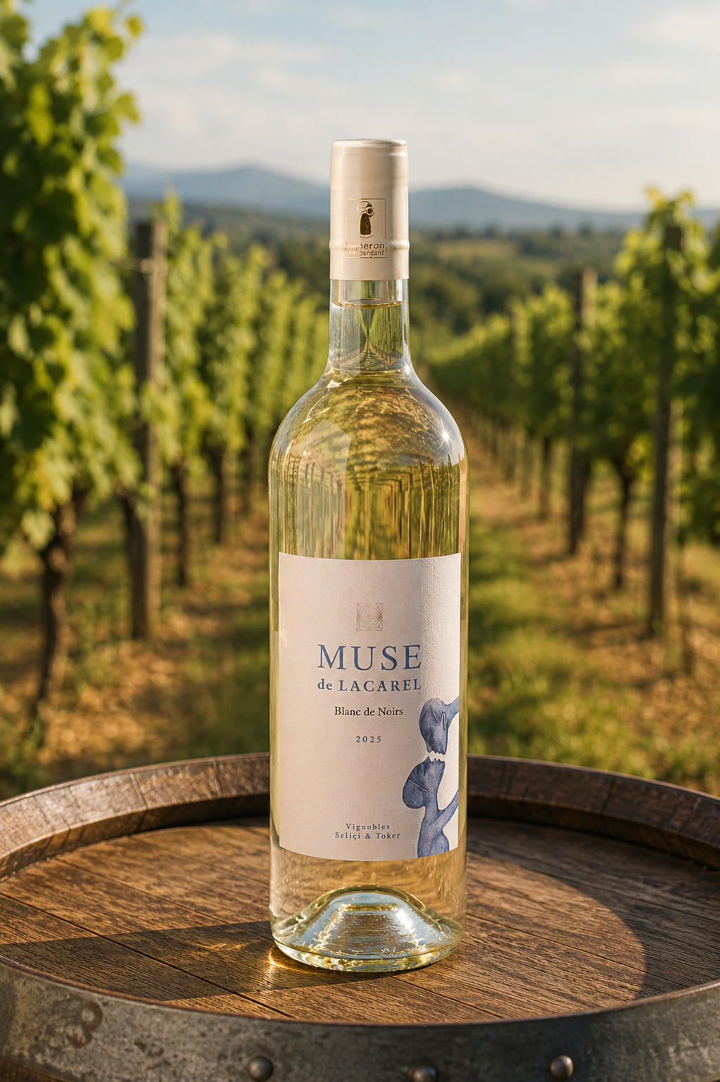 Muse de Lacarel